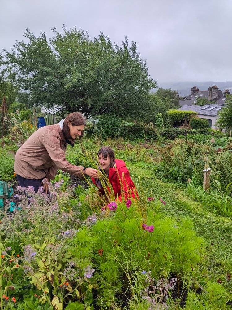 Natural Dyes workshop Kendal