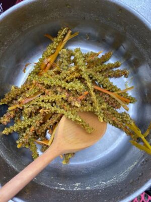 Natural Dyes workshop 2024