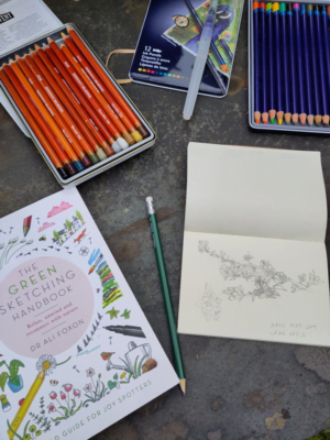 Simple sketching on a summer afternoon