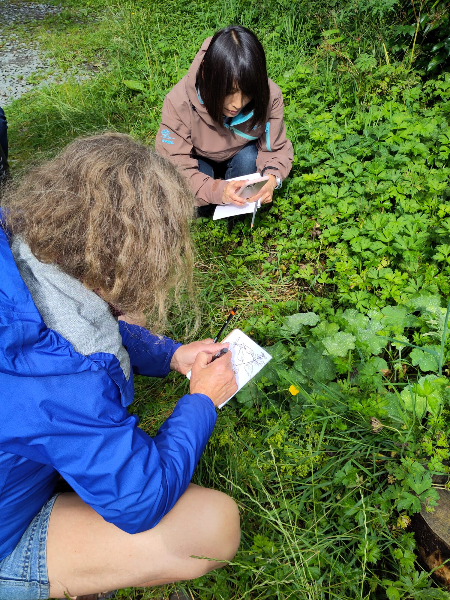 Simple sketching on a summer afternoon - Image 3