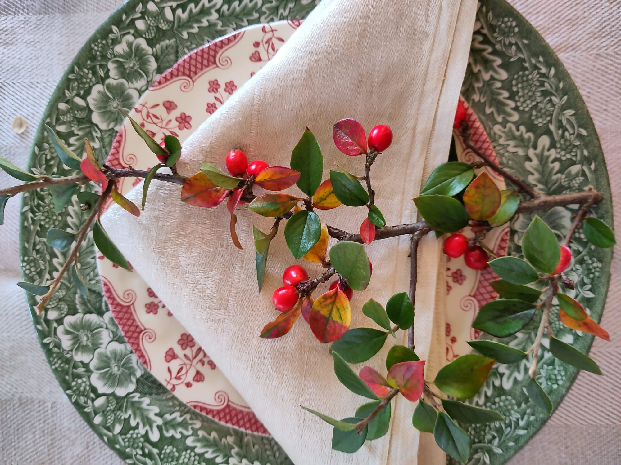 Style a 'Green' Festive Table - Image 5