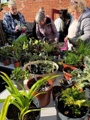 plant share kendal repair cafe may 2025