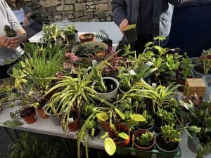 Plant Share @Kendal Repair Cafe